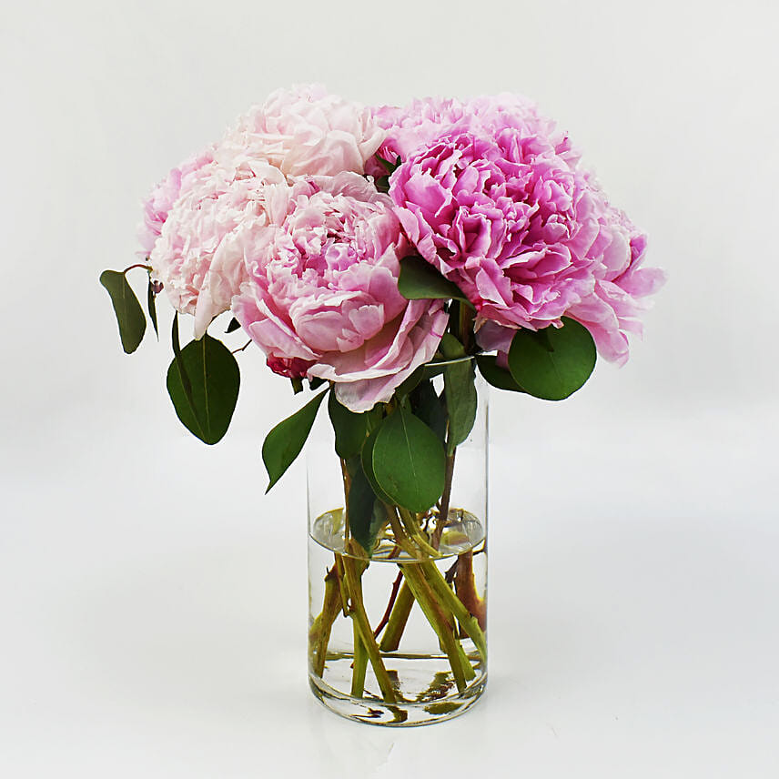 Light Pink Peonies