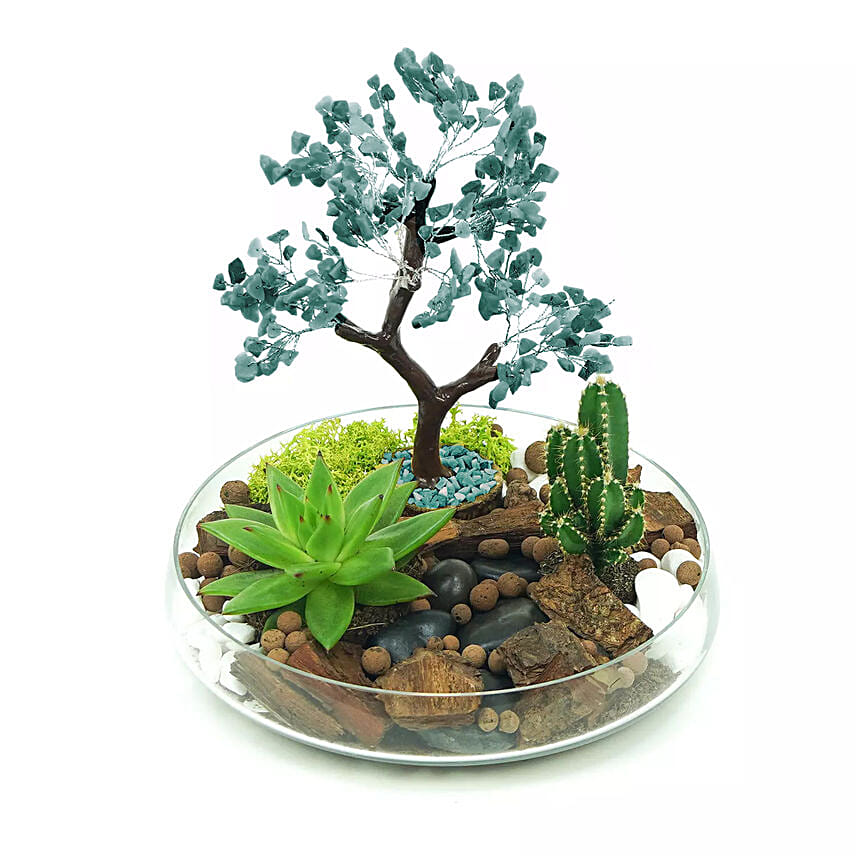 Potted Succulent & Cactus Under A Wishing Tree