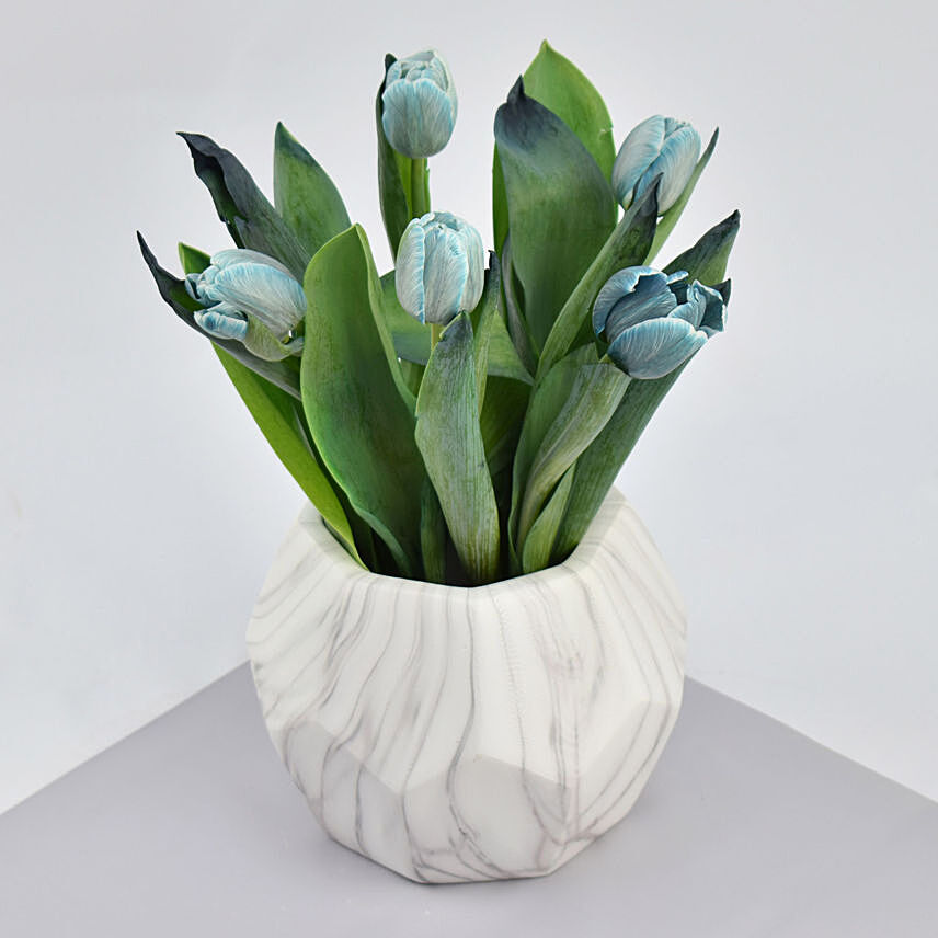 Blue Tulips in Premium Vase