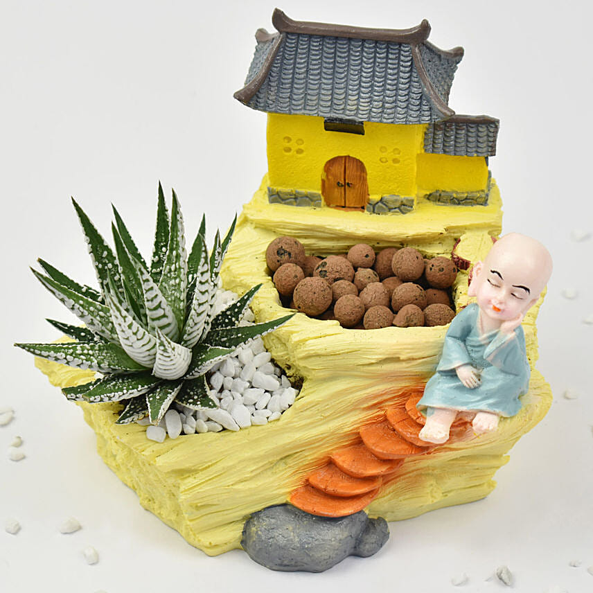 Cactus in Monk Planter