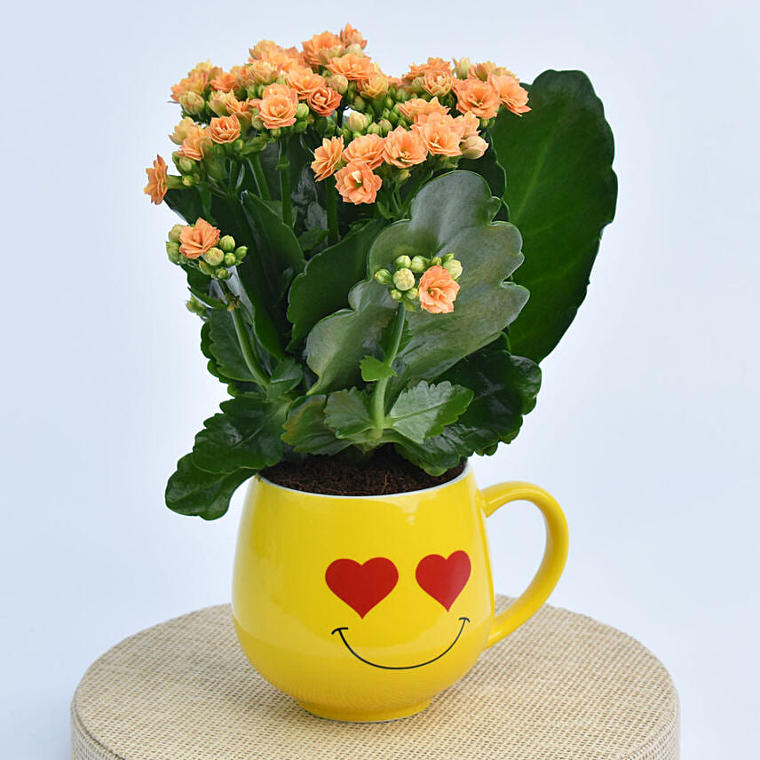 Kalanchoe In a Emoji Mug