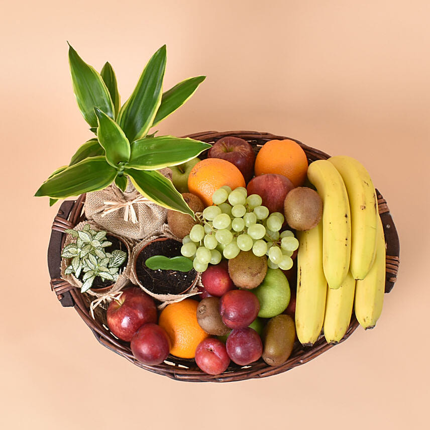 Order Natures Basket Online | Same-Day Delivery UAE - Fnp.ae