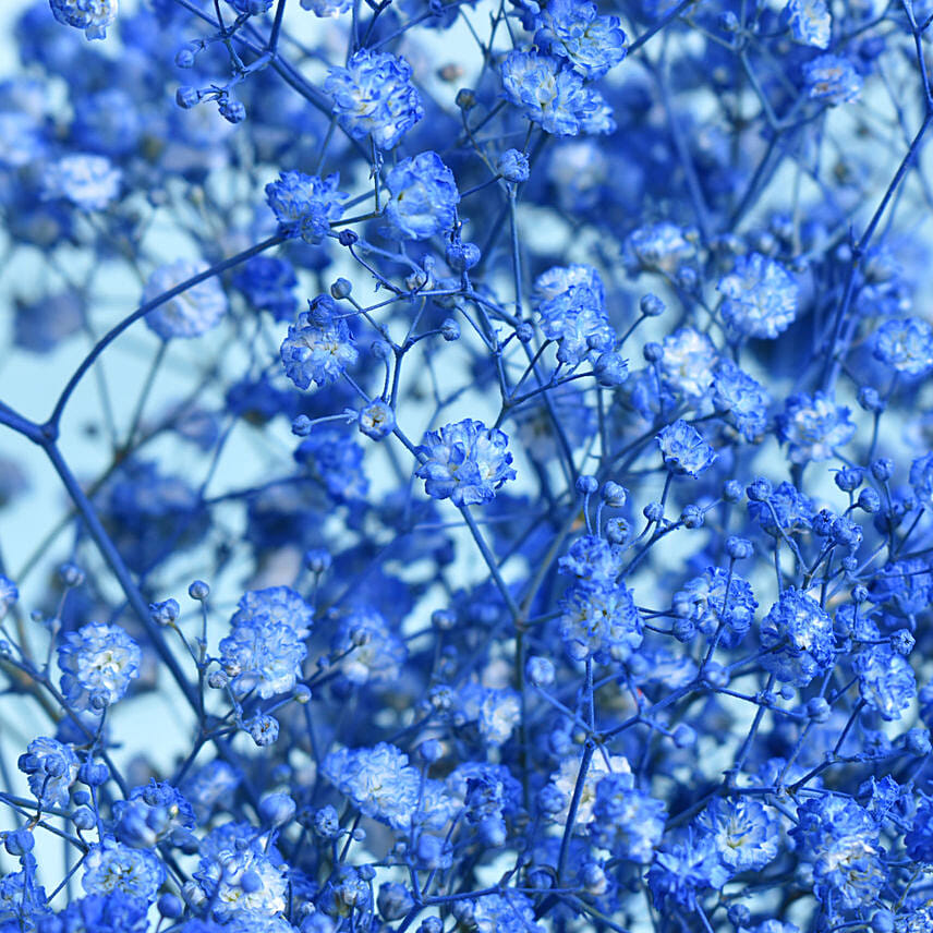 Online Best Dad Ever Blue Gypsos Arrangement Gift Delivery in UAE - FNP