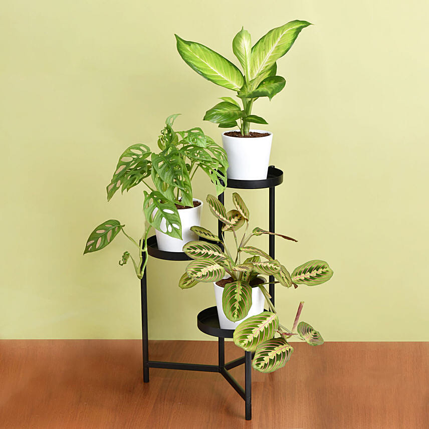 Reduce Noise And Air Pollution Plant Stand