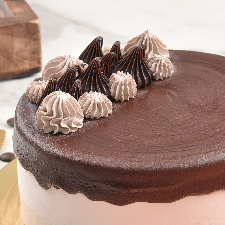 Online Chocolate Classic Ice Cream Cake 12 Portions Gift Delivery in