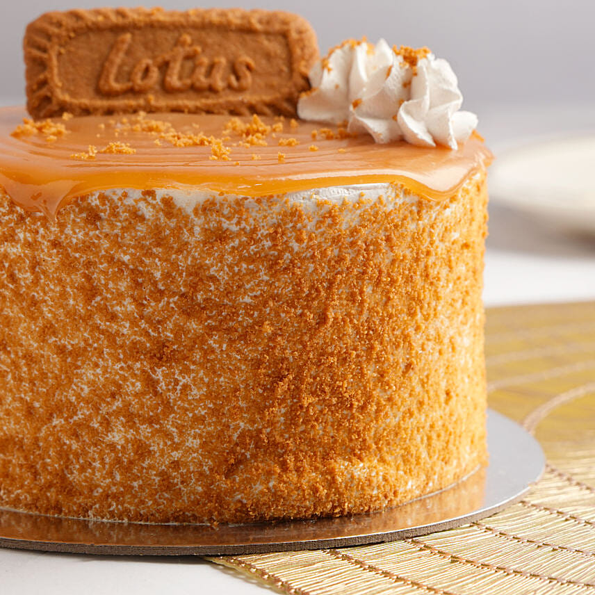 Online Lotus Ice Cream Cake 6 Portion Gift Delivery in UAE FNP