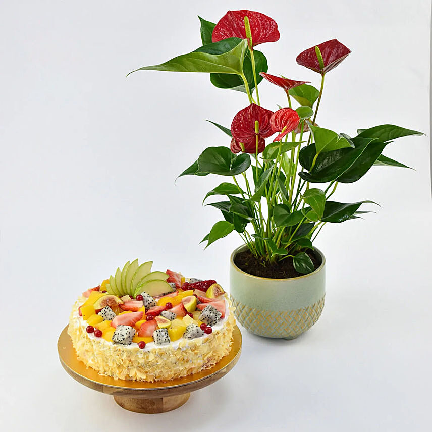 Vegan Fruit Cake with Plant