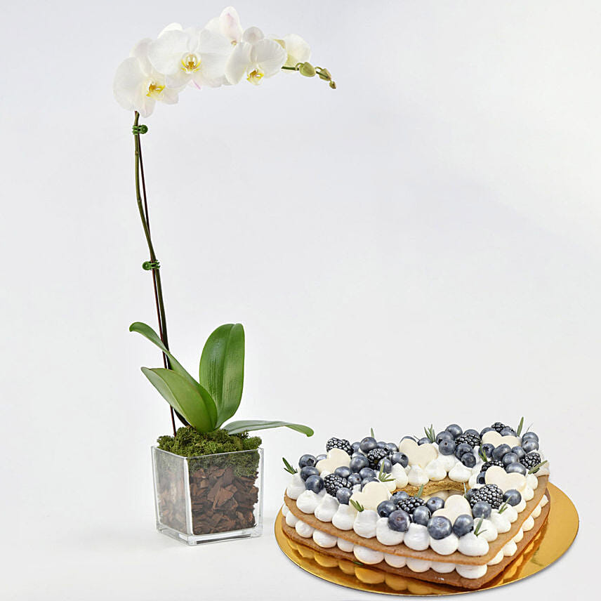 Heart To Heart Blueberry Cake with Plant