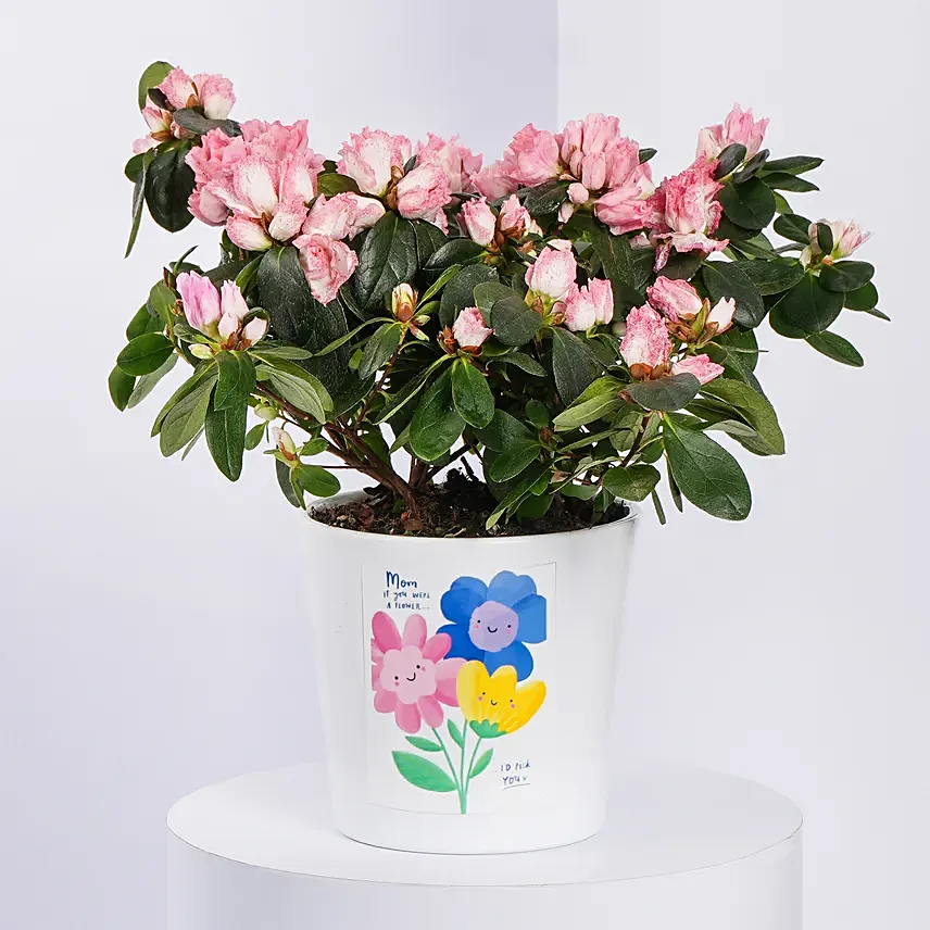Mom If You Were A Flower Azalia Plant