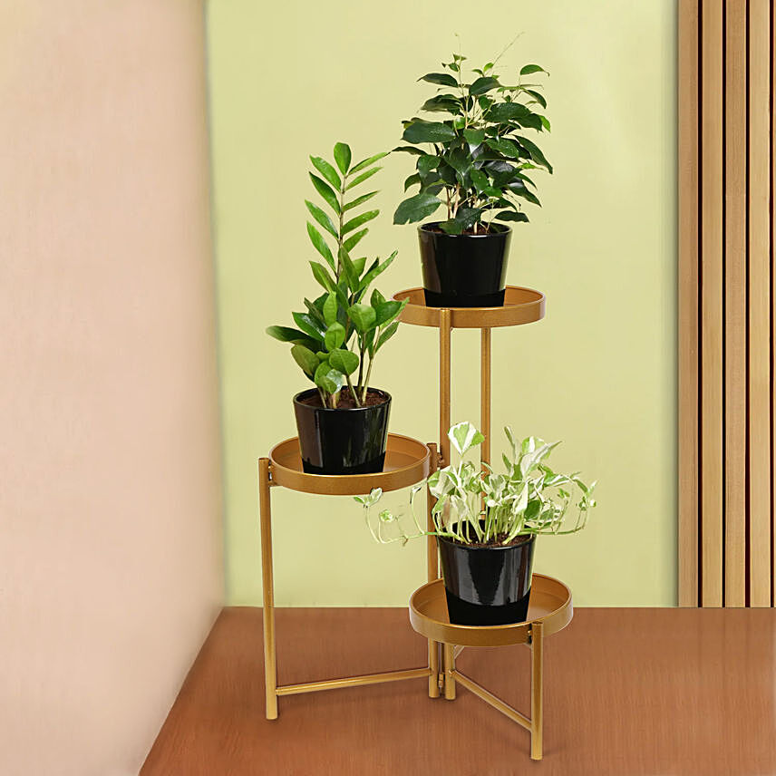 Welcome Good Luck To Home Plant Stand