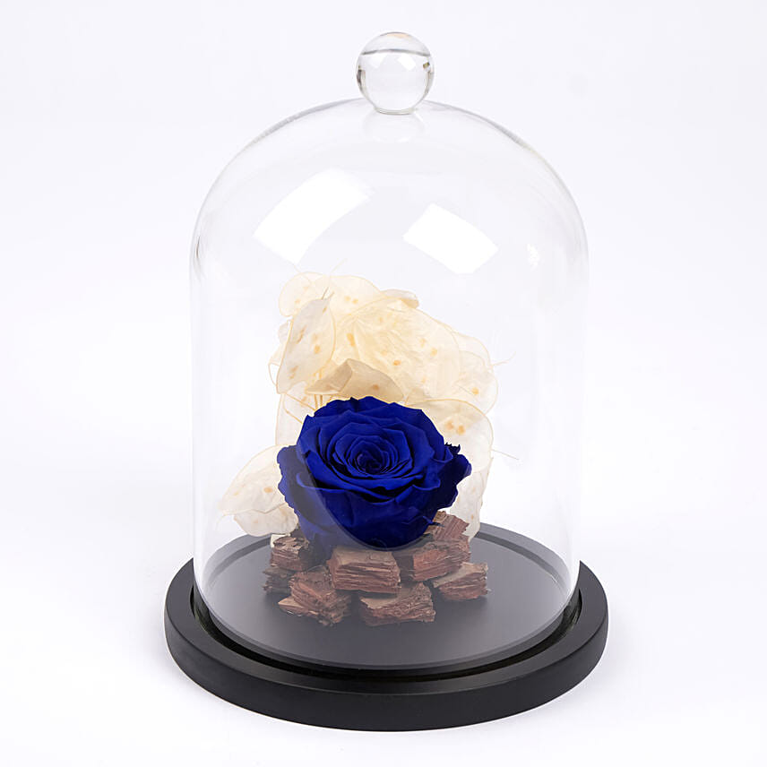 Blue Forever Rose