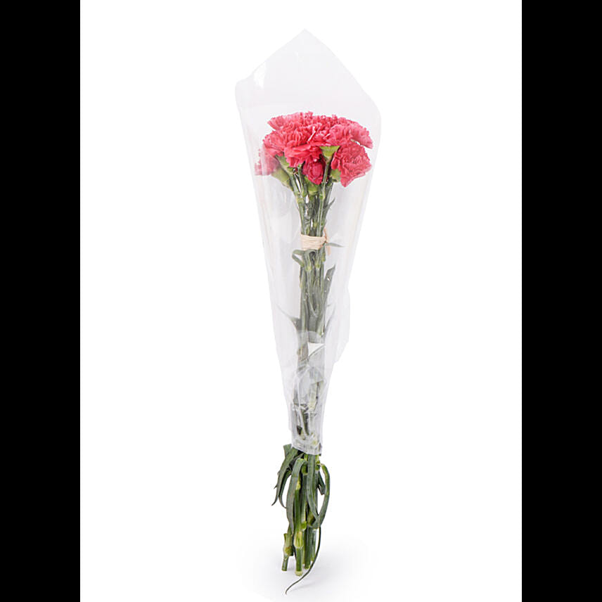 Fresh Bunch of Dark Pink Carnations 10 Carnations
