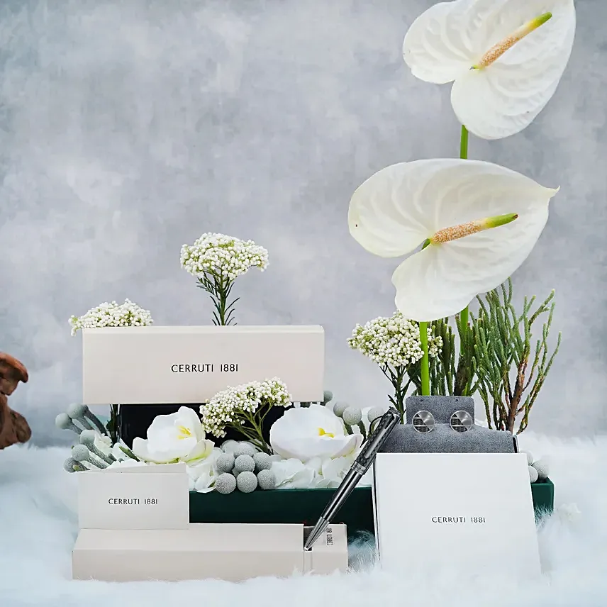 Cerruti Cuff Links and Pen Luxury Gift Set for Him