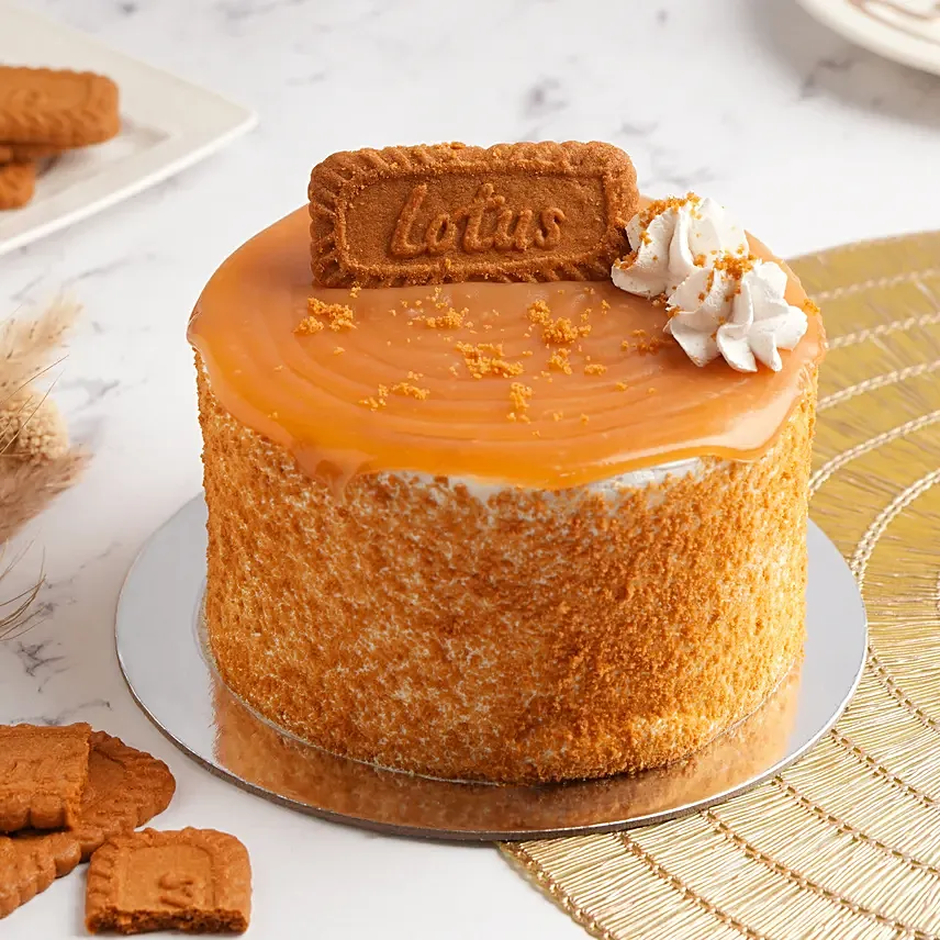 Lotus Ice Cream Cake