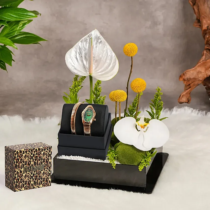 Just Cavalli Signature Snake Design Luxury Watch Gift Tray For Her