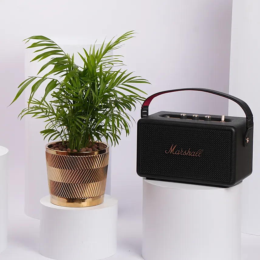 Marshall Speaker with HousePlant Gift Set: هدايا الكترونية