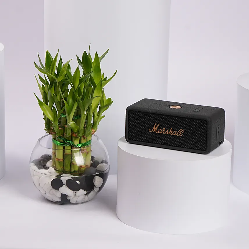 Marshall Speaker with Lucky Bamboo Gift Set: هدايا الكترونية