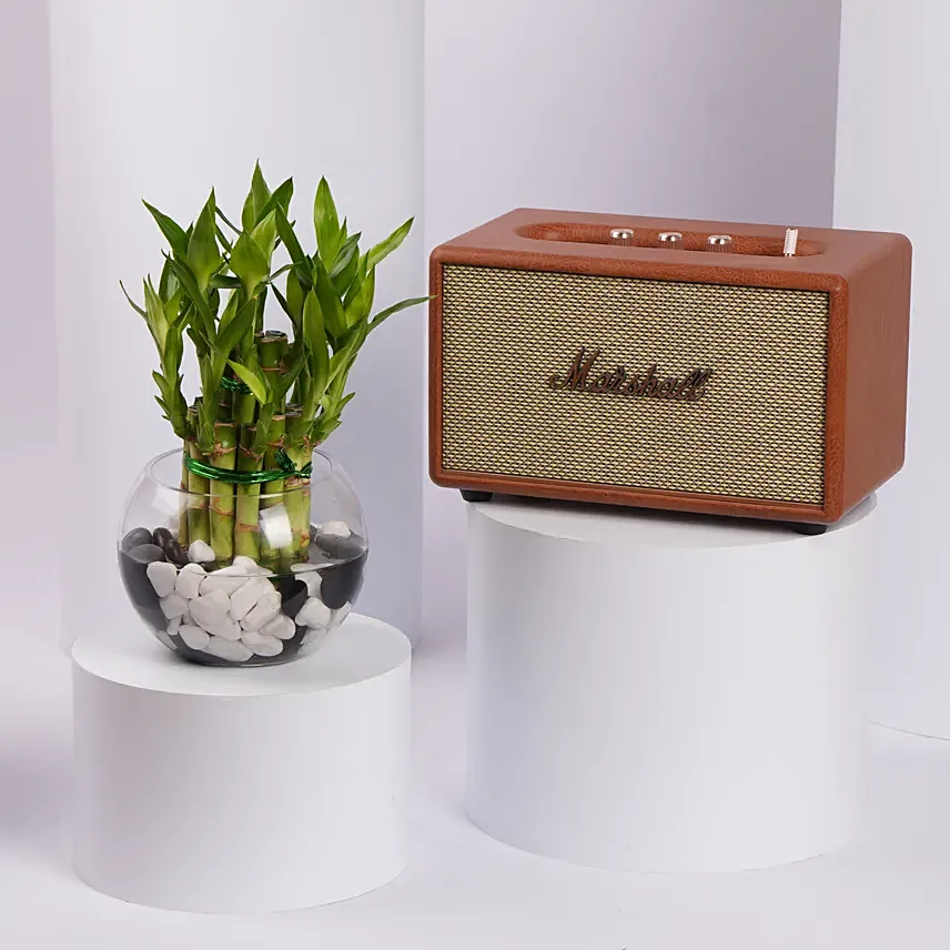 Marshall Speaker With Lucky Bamboo House Decor Gift: هدايا الكترونية