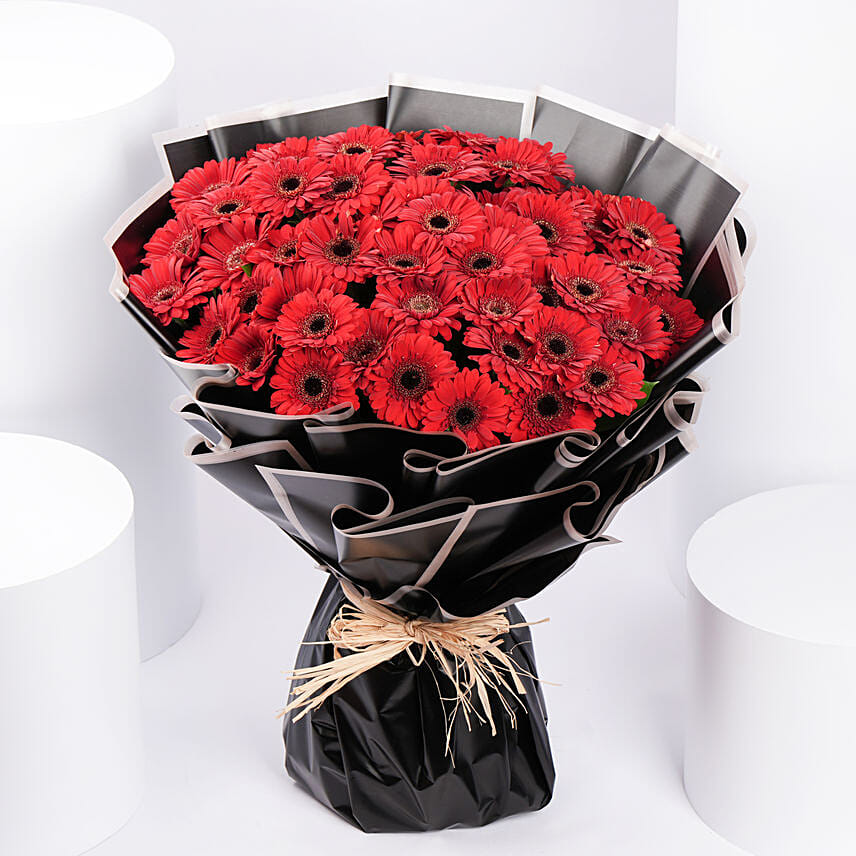 50 Red Gerbera Bouquet 50 Red Gerbera Bouquet: Gerberas Flower Bouquets