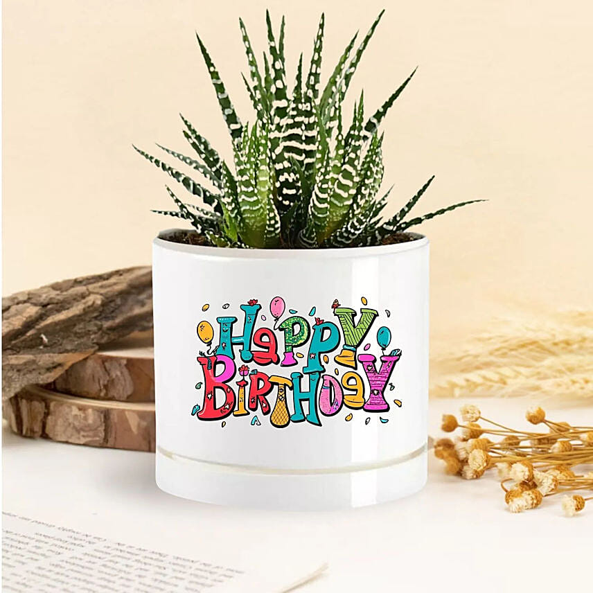 Birthday Cheer Echeveria Plant Birthday Cheer Echeveria Plant: Personalised Planters