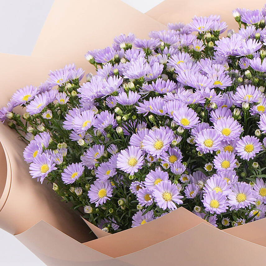 Order Aster Flowers Bouquet Online Same Day Delivery UAE Fnp ae order-aster-flowers-bouquet-online-same-day-delivery-uae-fnp-ae