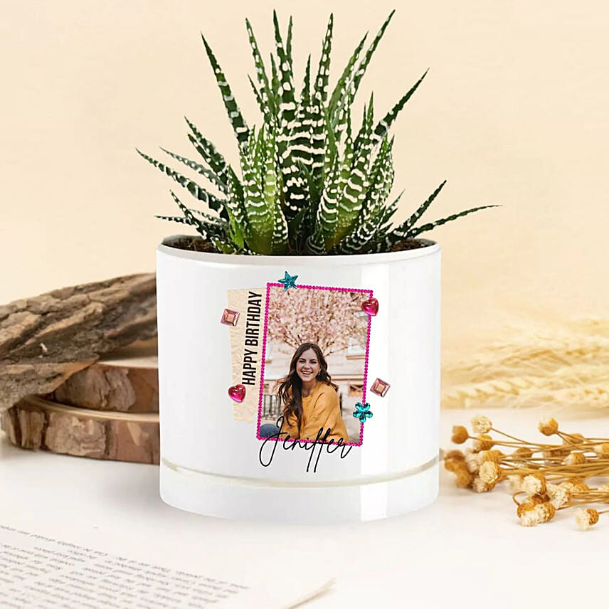 Birthday Blooms Echeveria Plant Birthday Blooms Echeveria Plant: