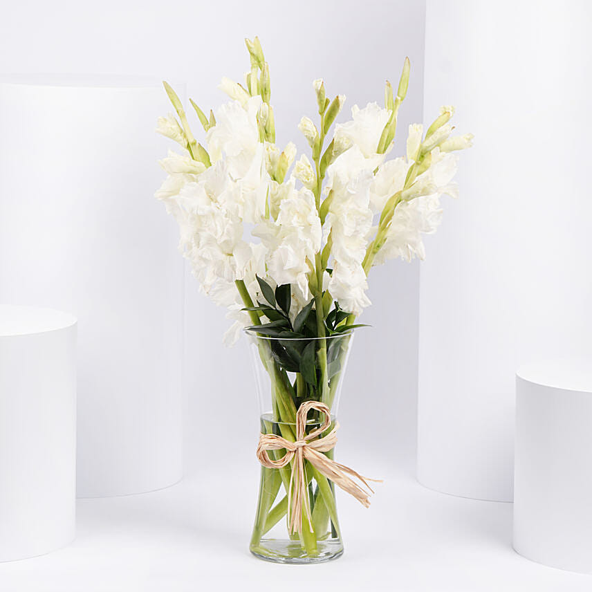 Blissful White Gladiolus Arrangement Blissful White Gladiolus Arrangement: