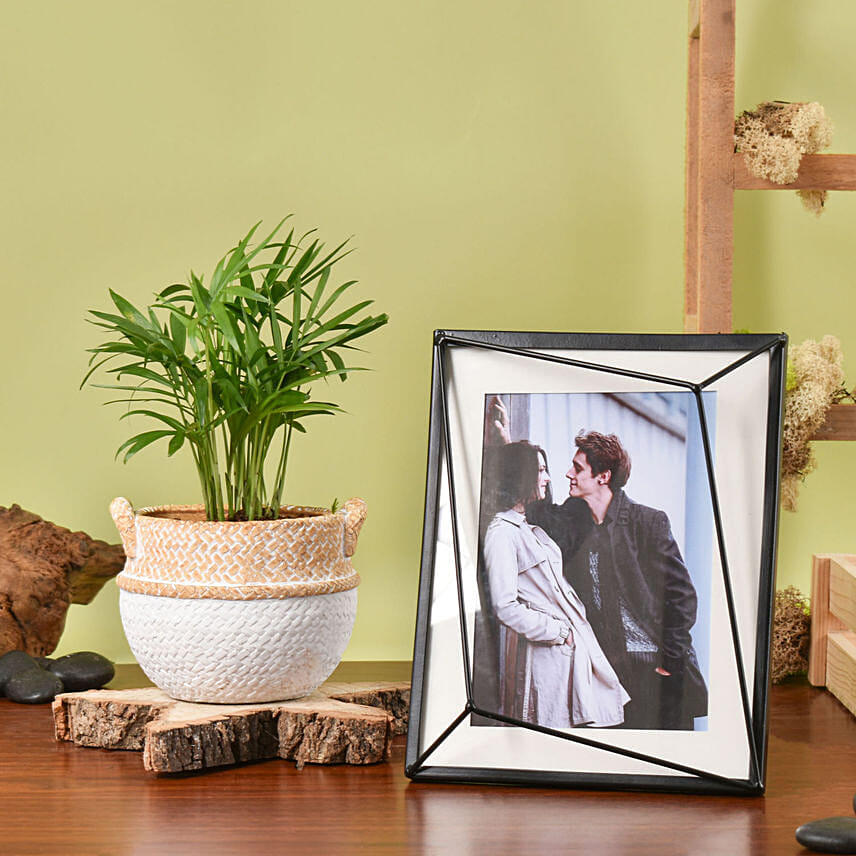 Chamadorea Plant with Photo Frame Chamadorea Plant with Photo Frame: Gift for Boyfriend