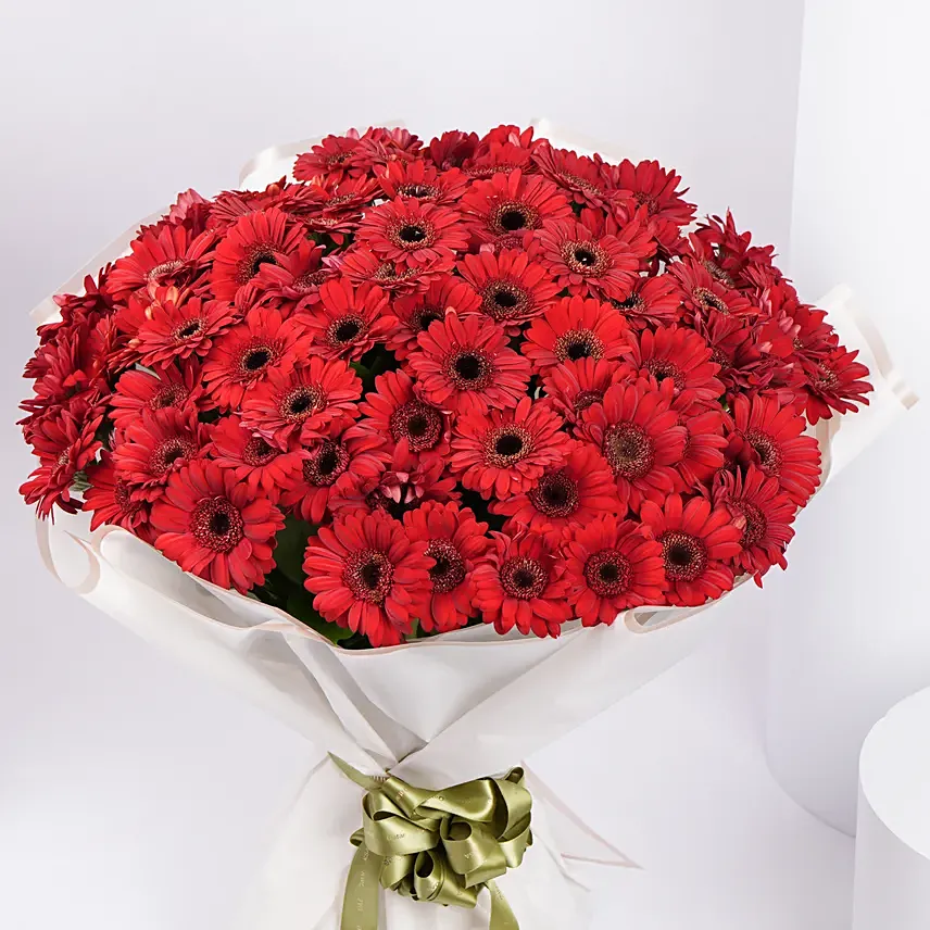 100 Red Gerbera Bouquet