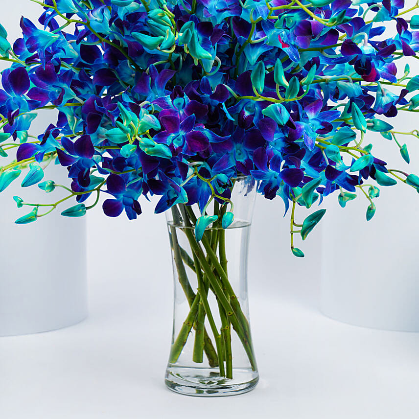Blue and Purple Orchids Arrangement