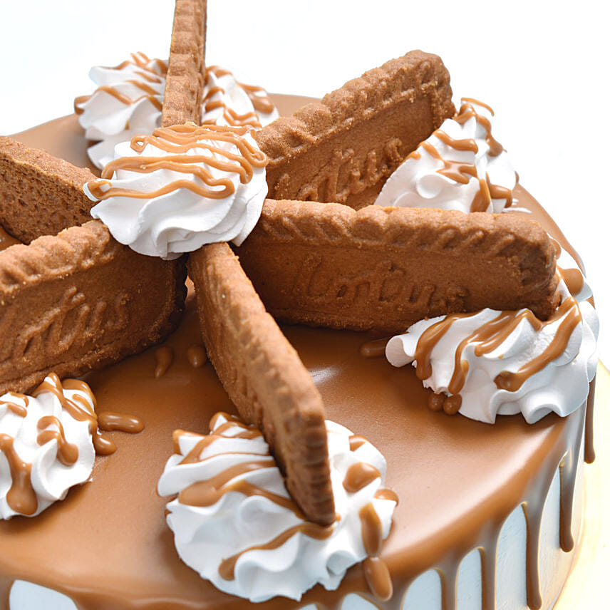 500 grams Eggless Lotus Biscoff Cake For Birthday