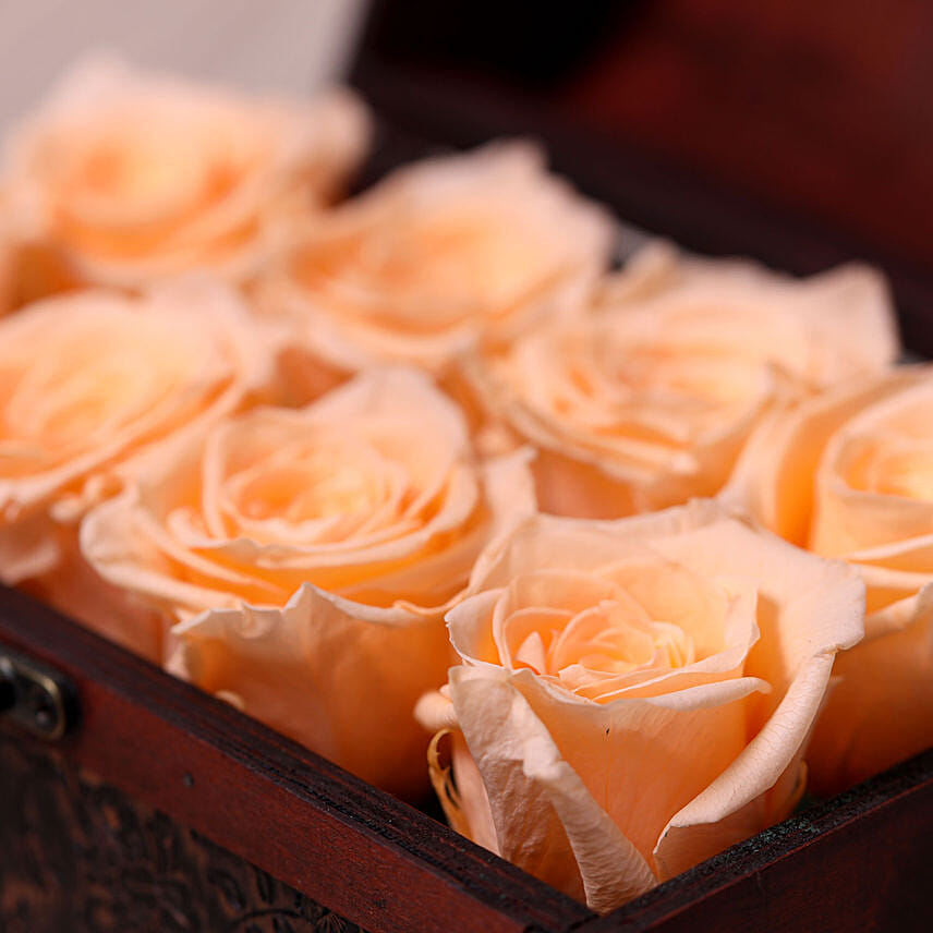 8 Peach Forever Roses in Treasure Box