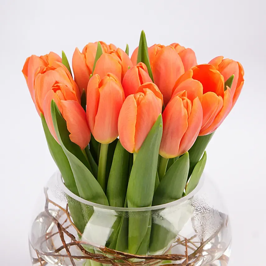 Beautiful Orange Tulips Fish Bowl