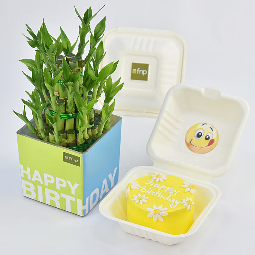 Birthday Wish Lunchbox Redvelvet Cake and Lucky Bamboo