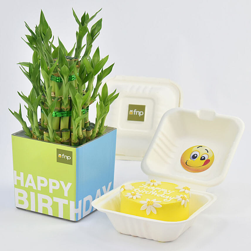 Birthday Wish Lunchbox Redvelvet Cake and Lucky Bamboo