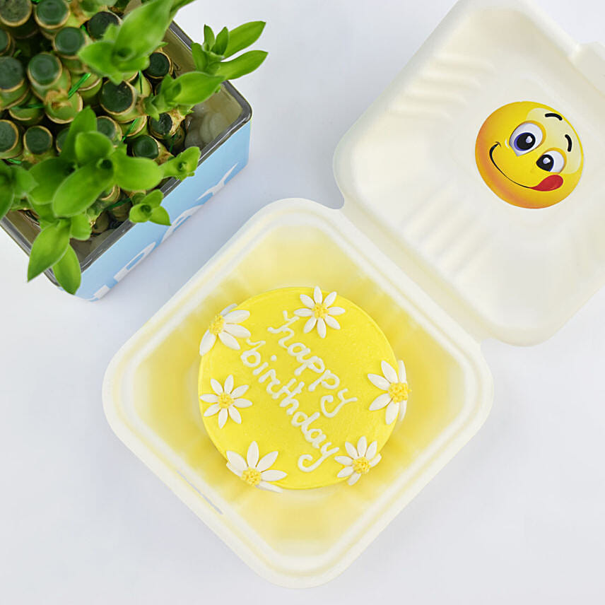 Birthday Wish Lunchbox Redvelvet Cake and Lucky Bamboo