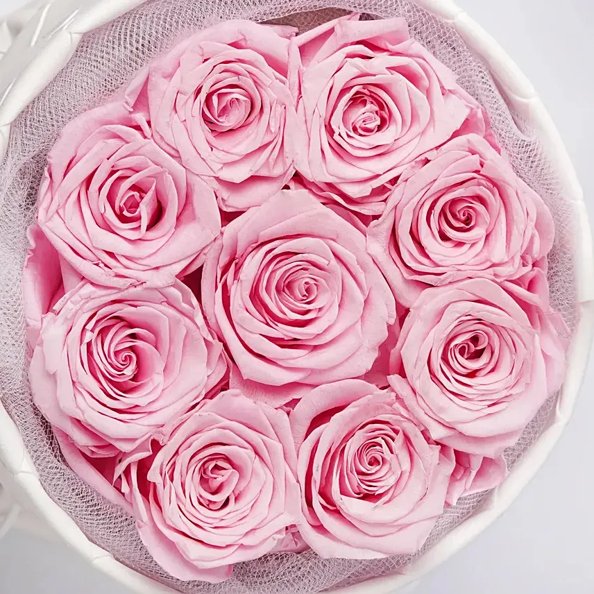 Blush Pink Eternal Roses