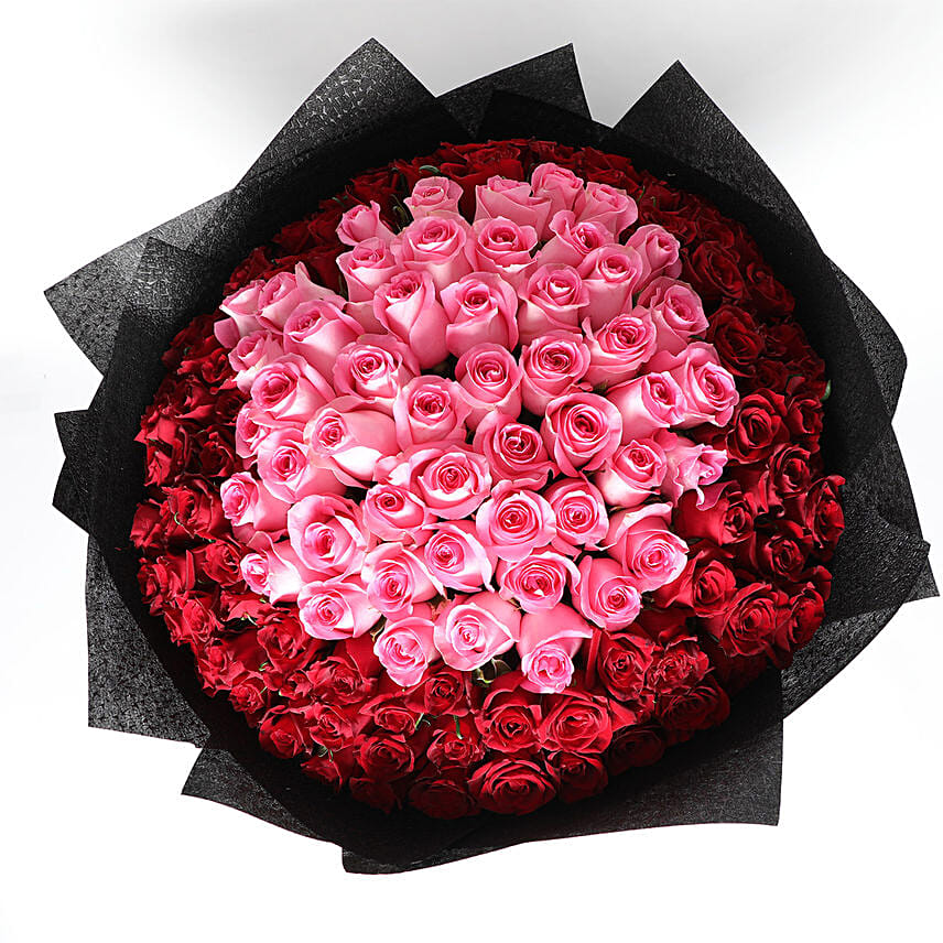 Bouqet Of Pink and Red 150 Roses