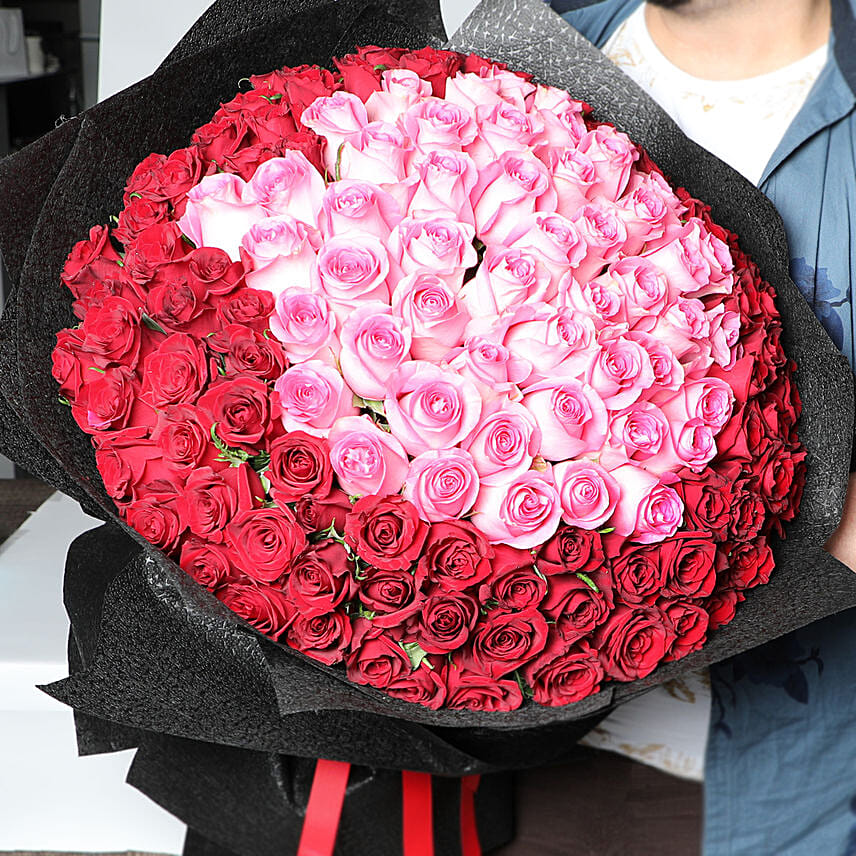 Bouqet Of Pink and Red 150 Roses