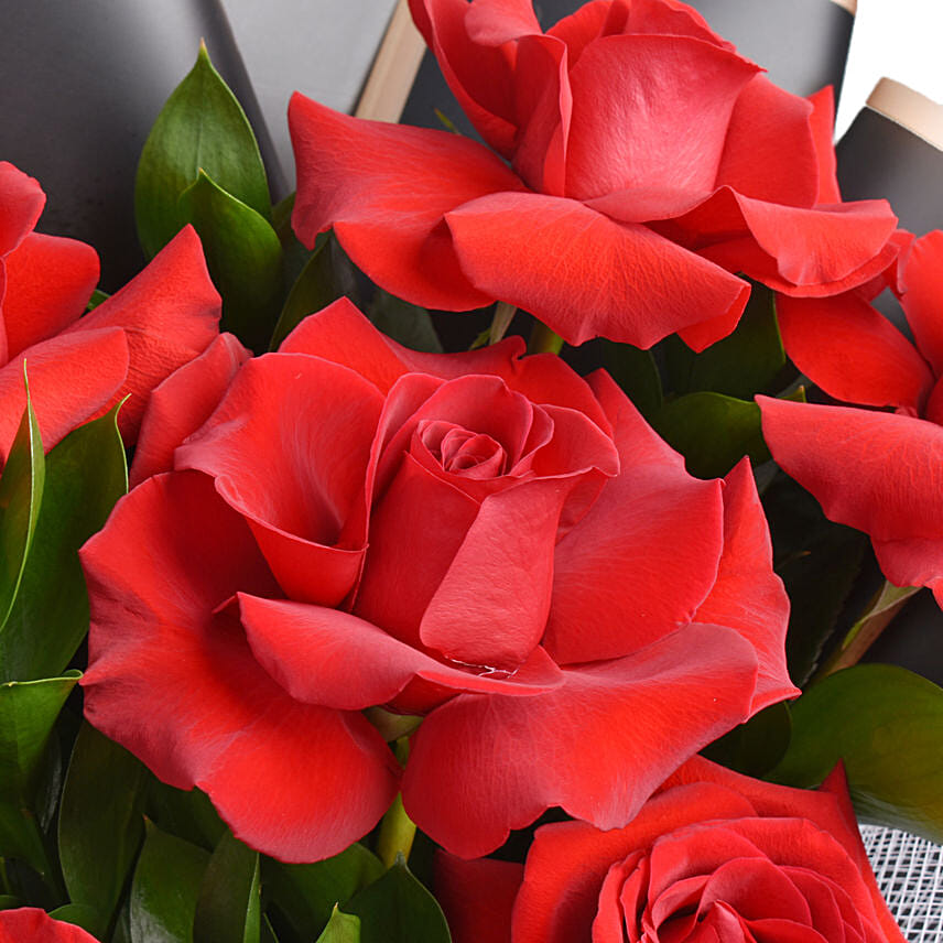 Bouquet of 6 red roses