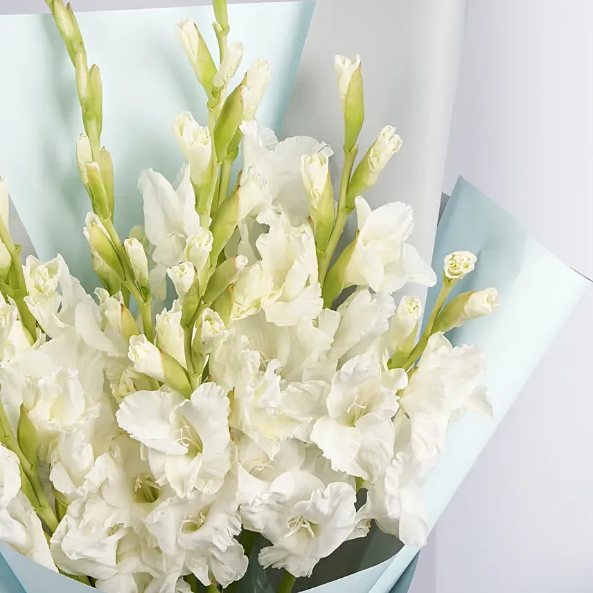 Bouquet Of White Gladiolus