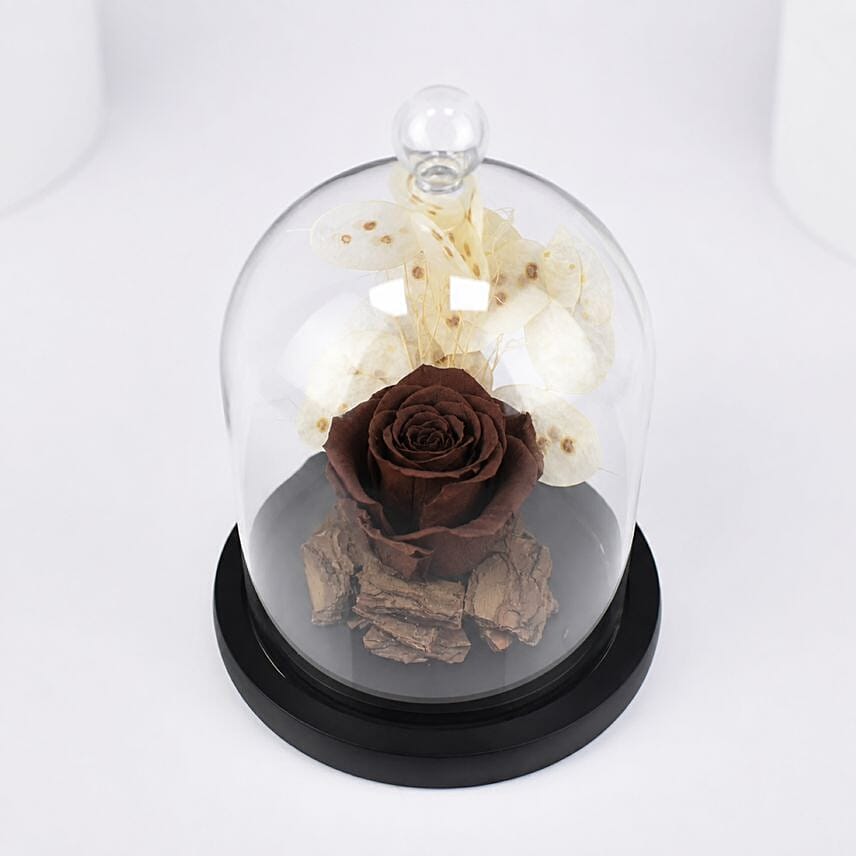Brown Forever Rose In Glass Dome
