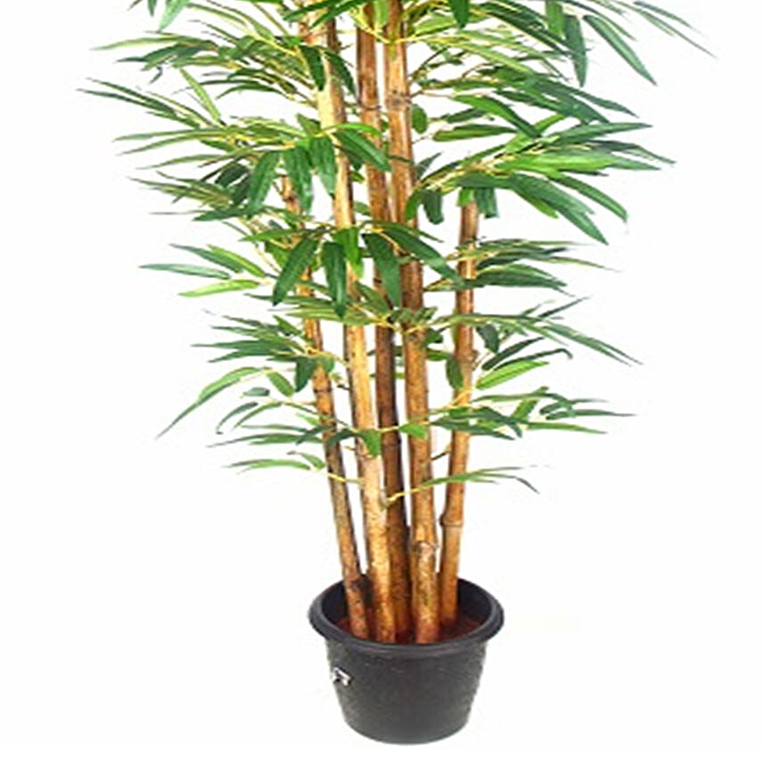 Buddha Bamboo Plant Pot