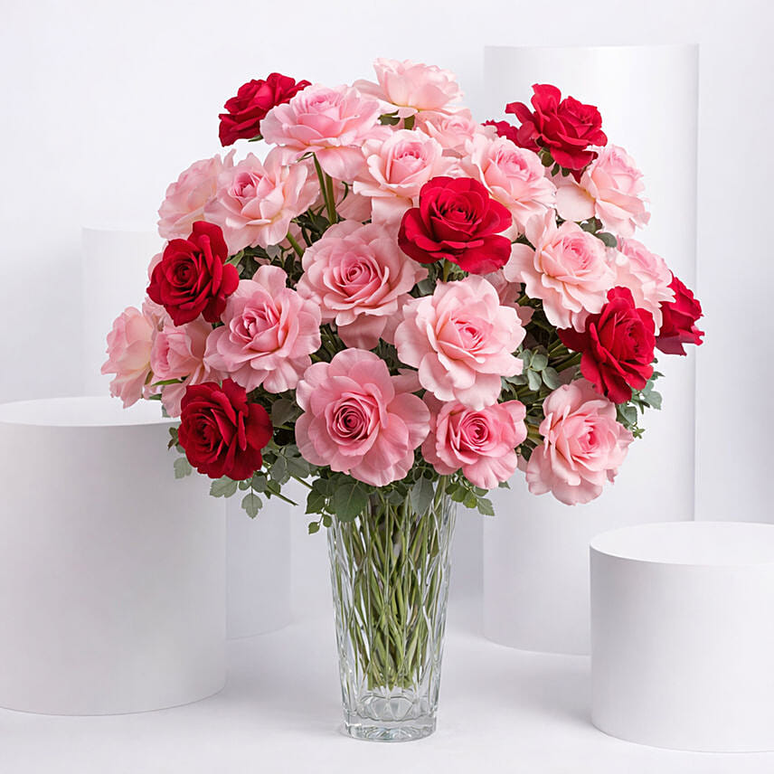 Bunch of 50 Gorgeous Pink Roses