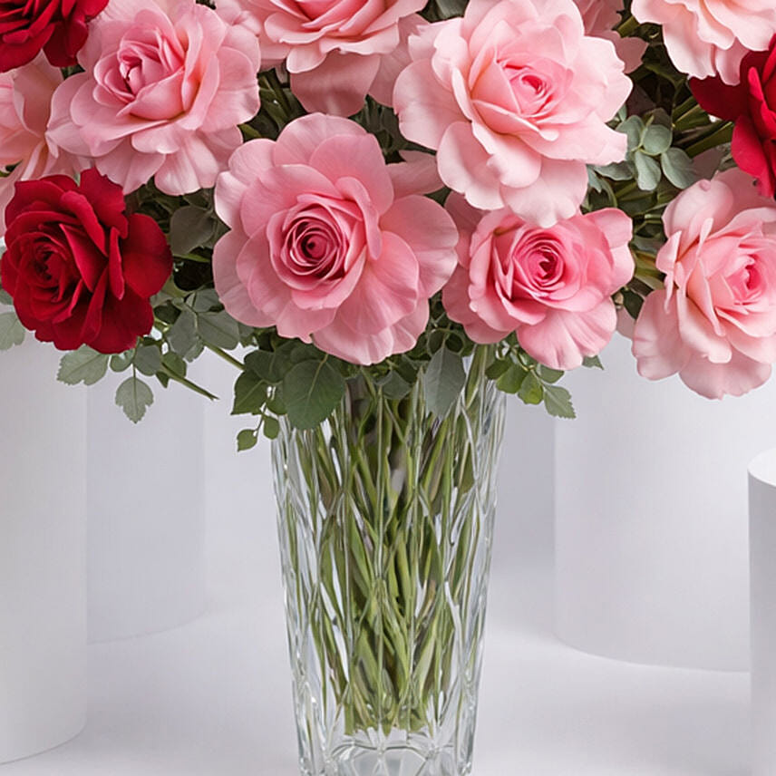 Bunch of 50 Gorgeous Pink Roses