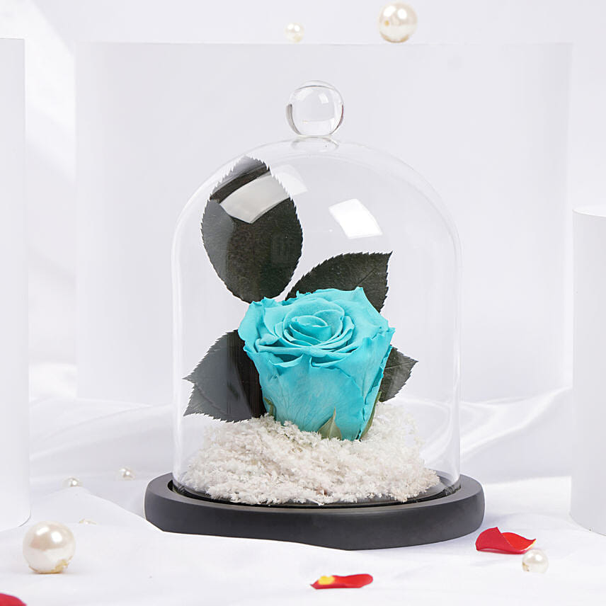 Celeste Blue Forever Rose Dome