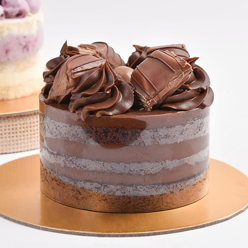 Choco Vanilla Harmony Duo