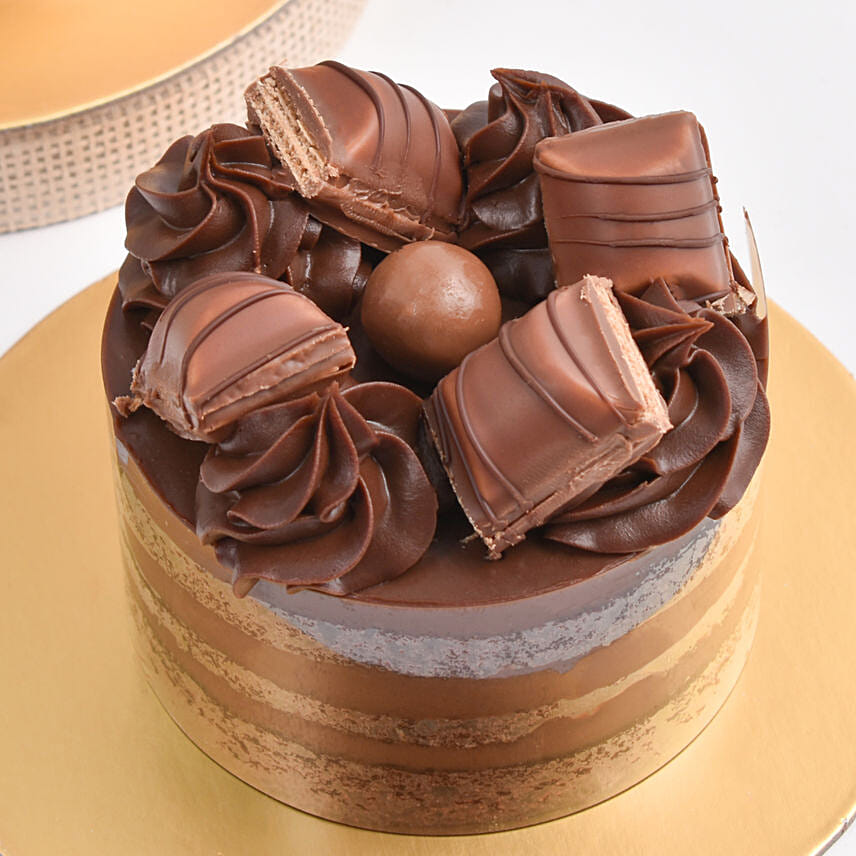 Choco Vanilla Harmony Duo