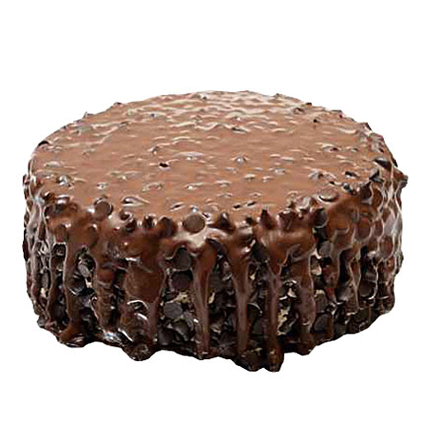 Chocolate Forest