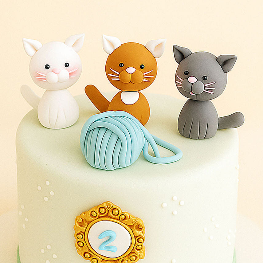 Chocolate Fudge Fondant Cake 2 KG
